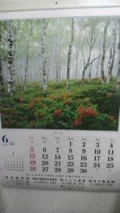 45e85a1dea40cb9796fc3eaffa89bc18