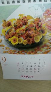 ac6c6f4db4e186959f1d2e229f9f03a2